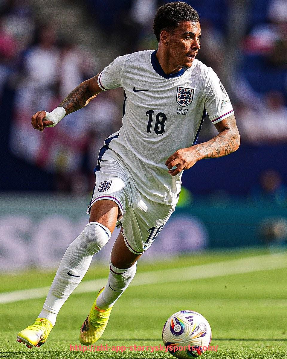 星空体育app-英超效力的冰岛球员名单及表现回顾