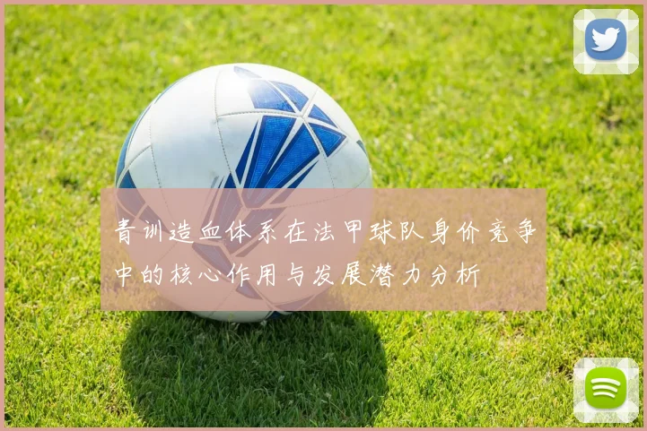 青训造血体系在法甲球队身价竞争中的核心作用与发展潜力分析